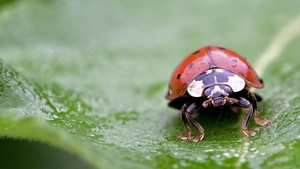 Can You Spot the Bug? Test Your JavaScript Debugging Skills